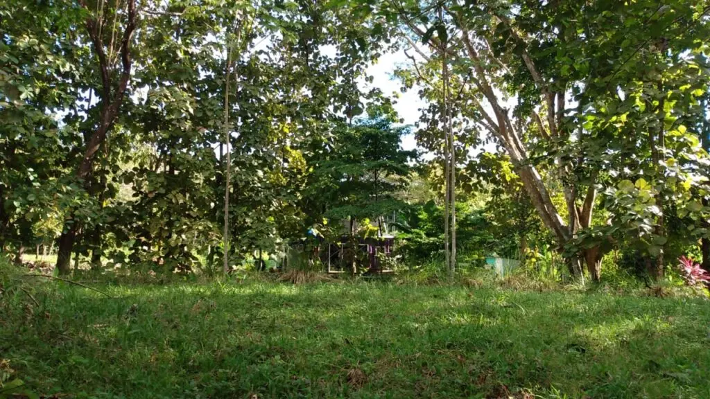 Spacious Lot in Cabuya photo 3