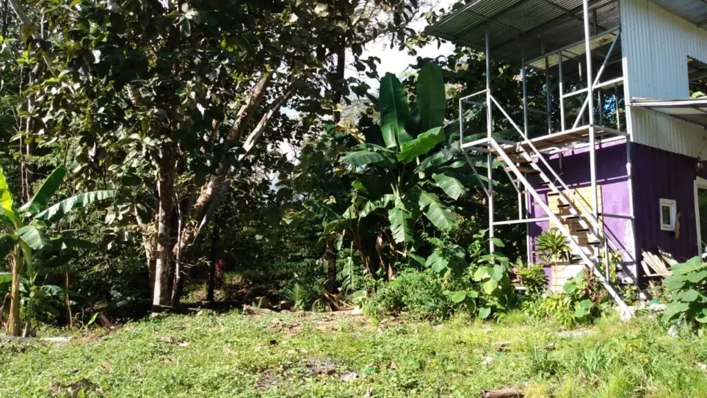 Spacious Lot in Cabuya photo 7