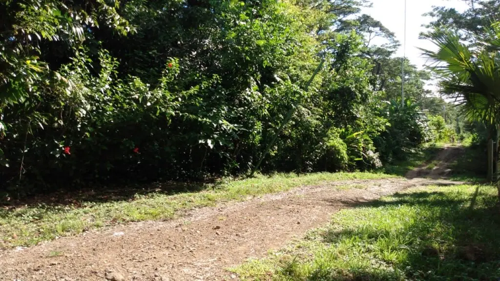 Spacious Lot in Cabuya photo 9