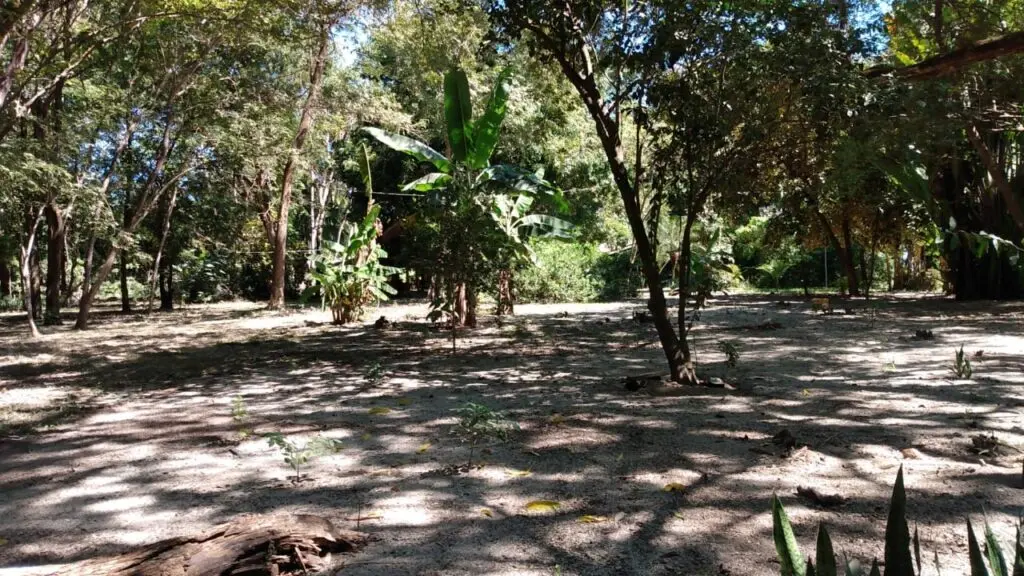 Oceanfront & Riverside Haven photo 10