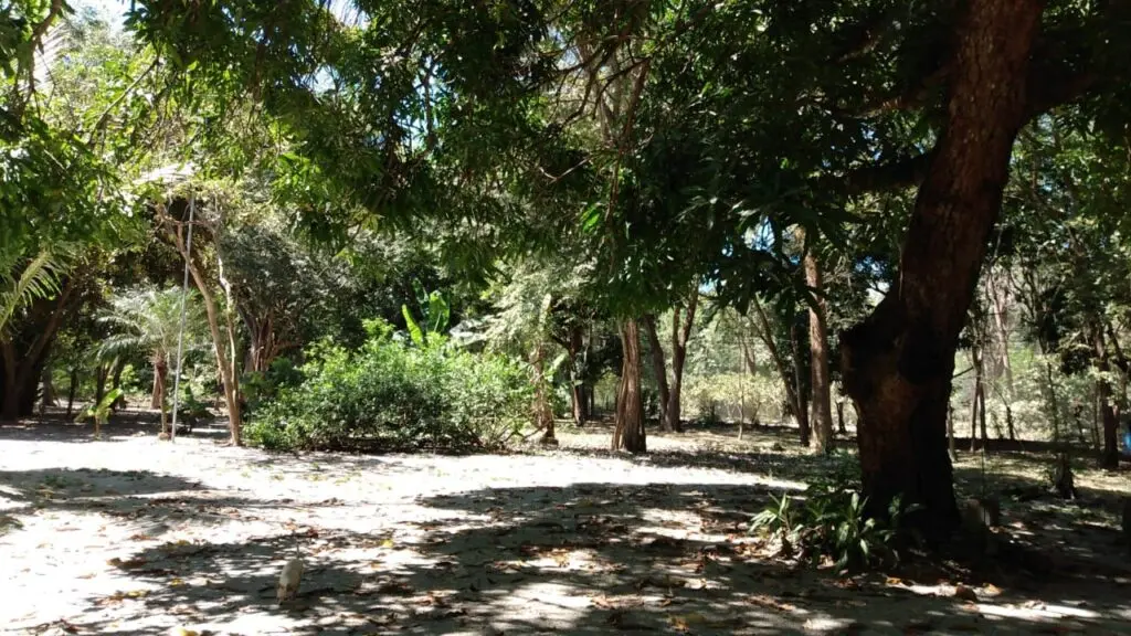 Oceanfront & Riverside Haven photo 11