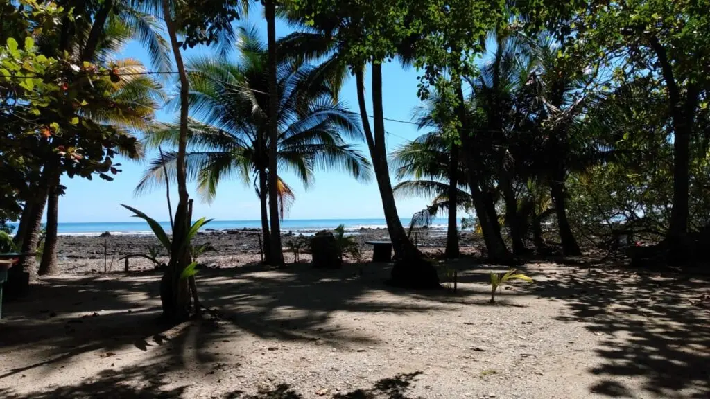 Oceanfront & Riverside Haven photo 13