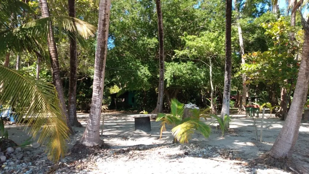 Oceanfront & Riverside Haven photo 14