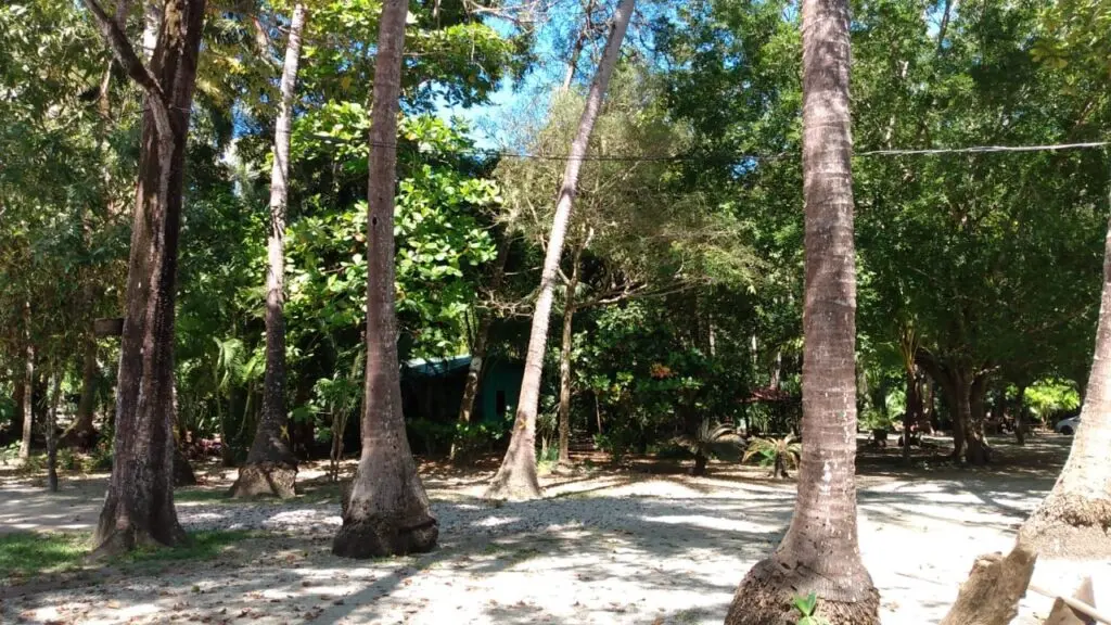 Oceanfront & Riverside Haven photo 7
