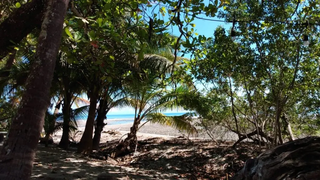 Oceanfront & Riverside Haven photo 6