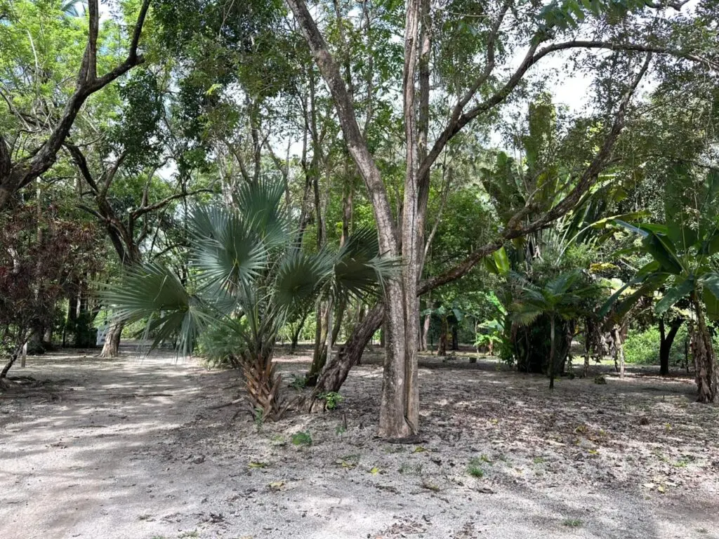 Oceanfront & Riverside Haven photo 2