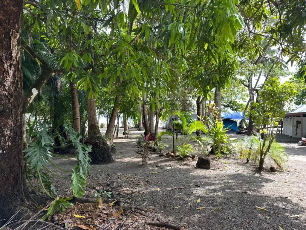 Oceanfront & Riverside Haven photo 15