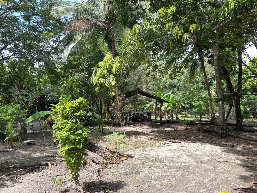 Oceanfront & Riverside Haven photo 19