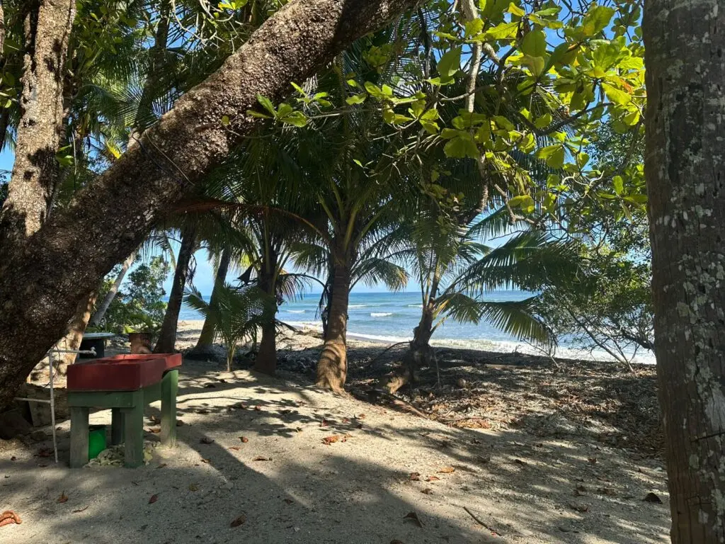 Oceanfront & Riverside Haven photo 16