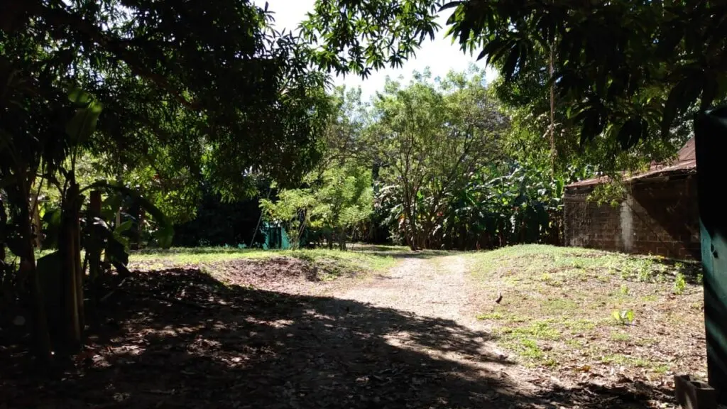 Beachfront Lot in Cabuya, Costa Rica photo 1