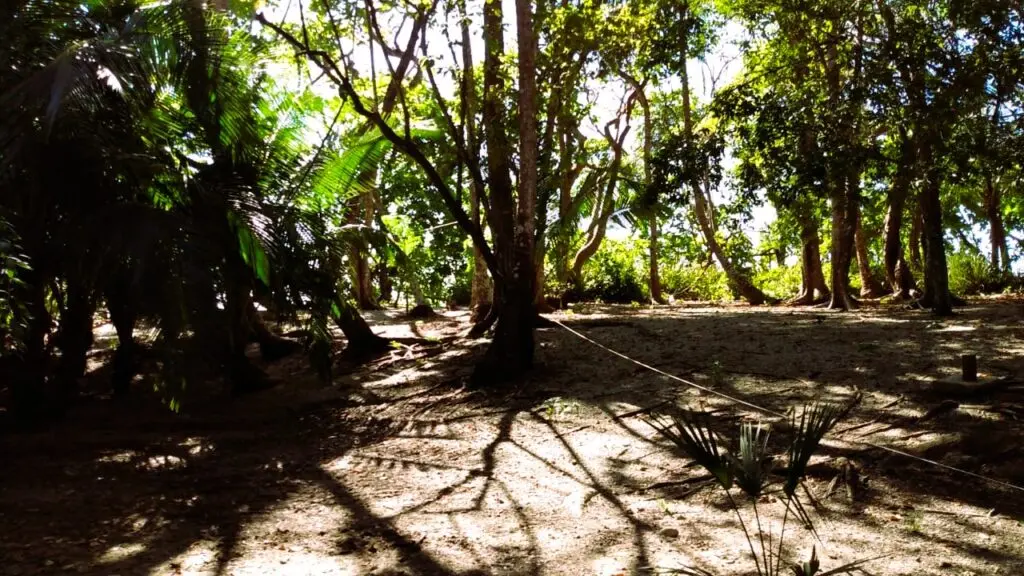 Beachfront Lot in Cabuya, Costa Rica photo 3