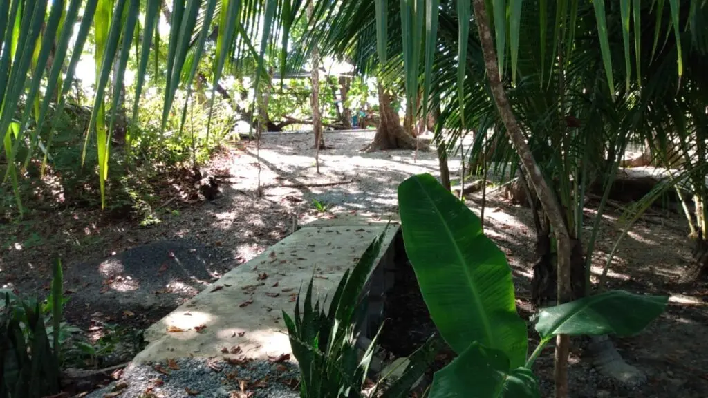 Beachfront Lot in Cabuya, Costa Rica photo 10