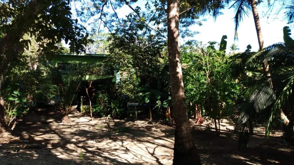 Beachfront Lot in Cabuya, Costa Rica photo 9