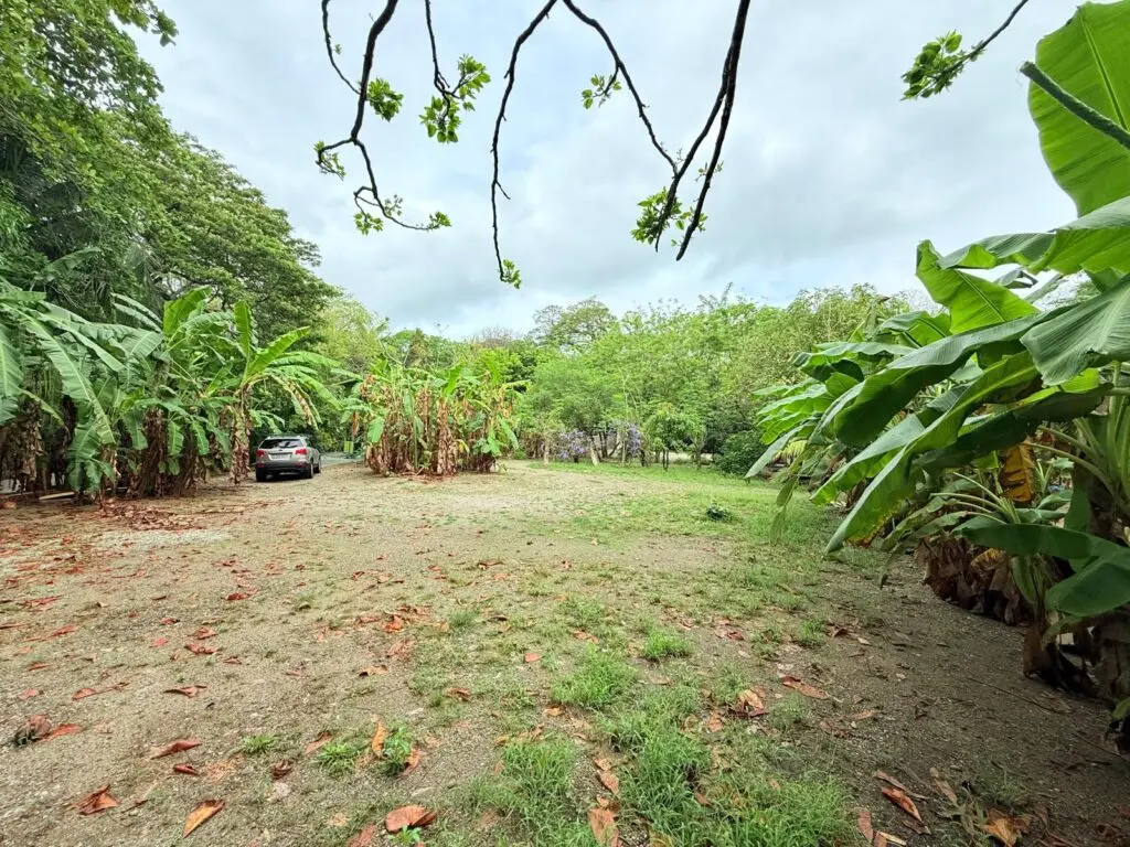 Beachfront Lot in Cabuya, Costa Rica photo 20
