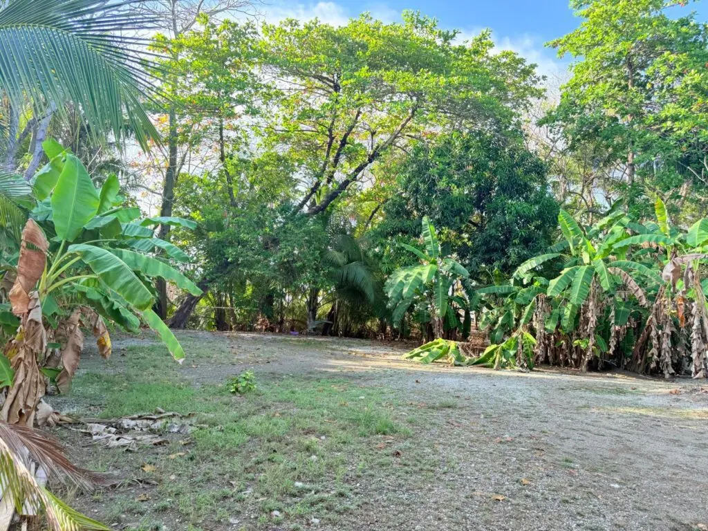 Beachfront Lot in Cabuya, Costa Rica photo 24