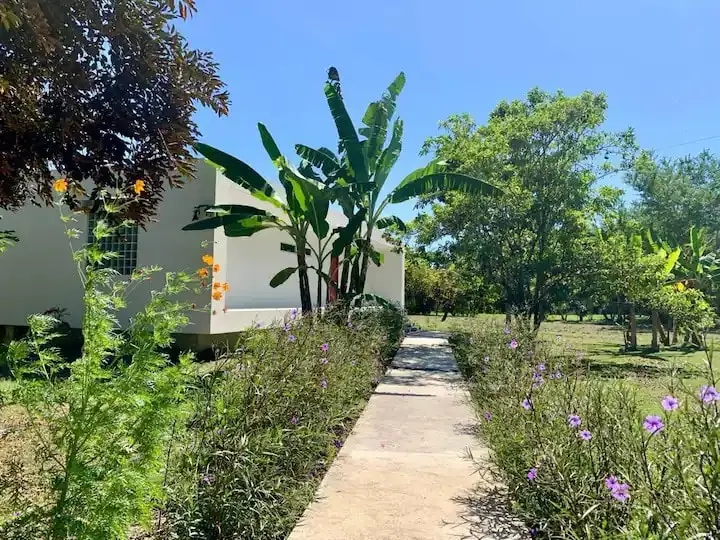 Modern Home in Cabuya Paradise photo 3