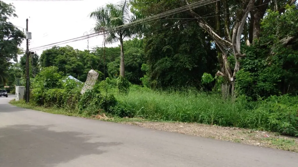 Cabuya Corner Lot 100m from Beach photo 4