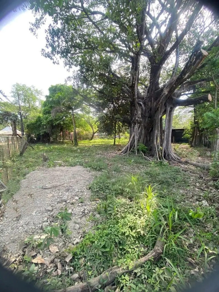 Cabuya Corner Lot 100m from Beach photo 6