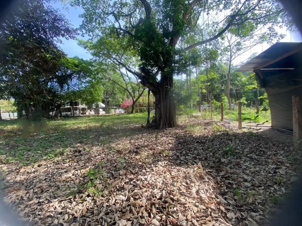 Cabuya Corner Lot 100m from Beach photo 7