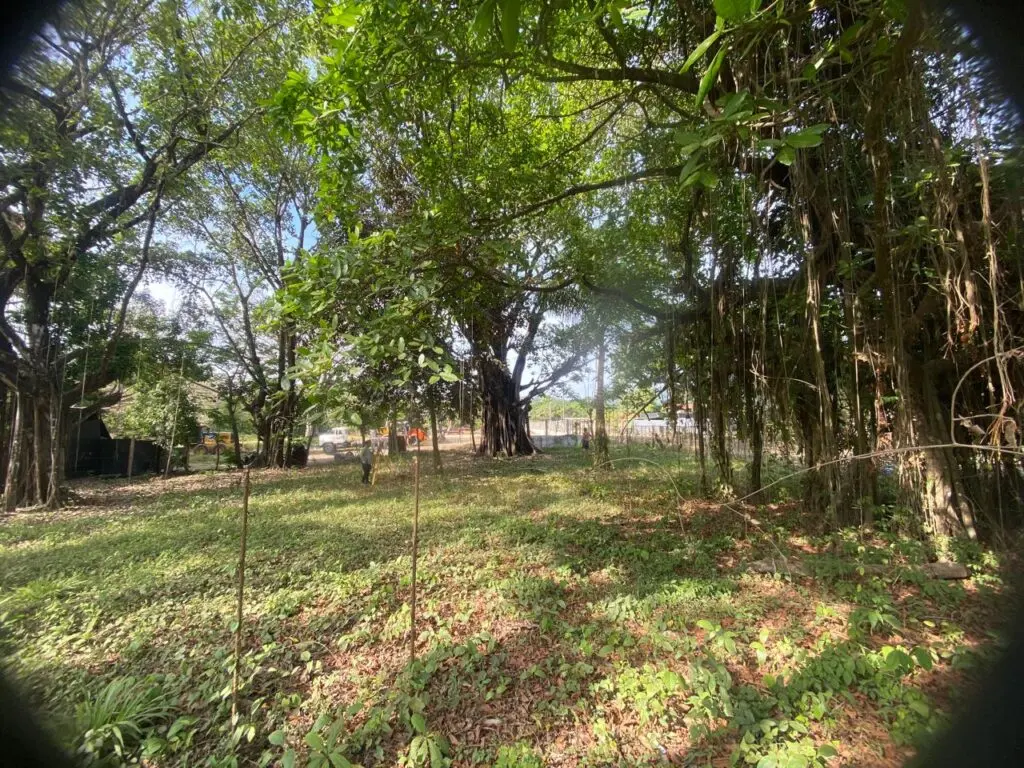 Cabuya Corner Lot 100m from Beach photo 1