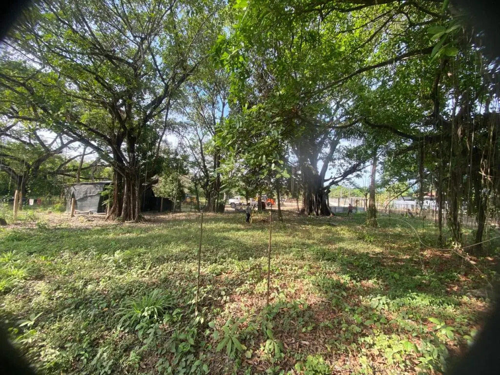 Cabuya Corner Lot 100m from Beach photo 8