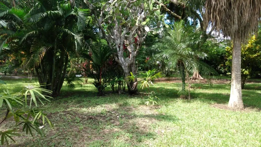 Cozy 2-BR Beach Home in Cabuya photo 6