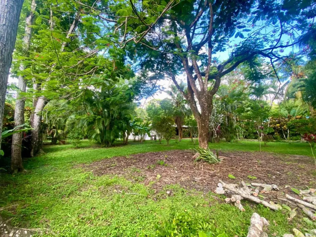 Cozy 2-BR Beach Home in Cabuya photo 7