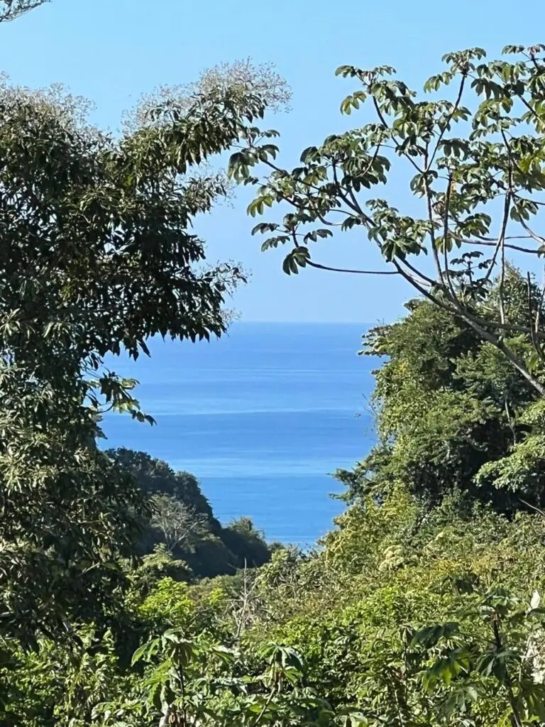 Ocean View Hermosa House & Land for Sale photo 14