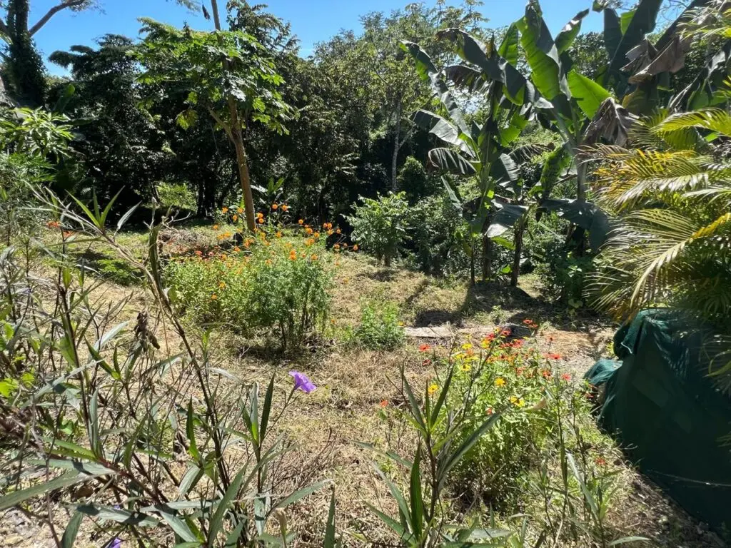 Ocean View Hermosa House & Land for Sale photo 16