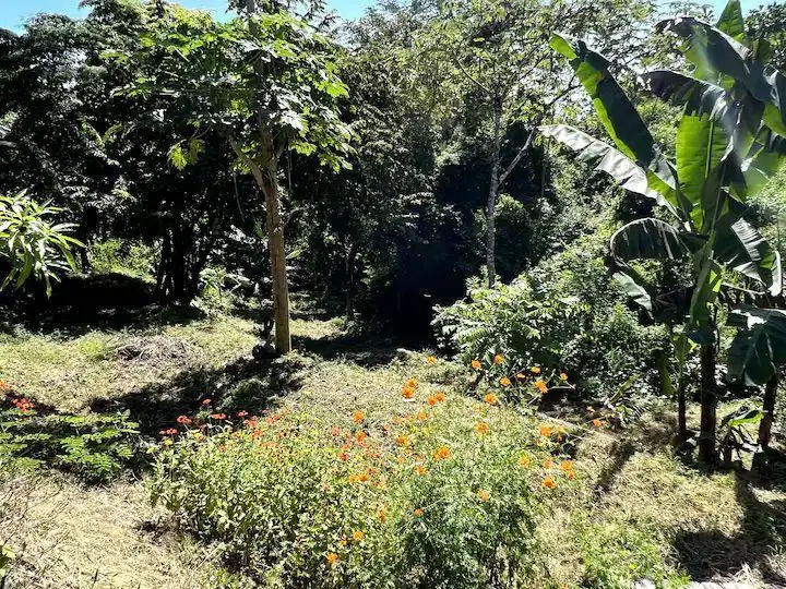 Ocean View Hermosa House & Land for Sale photo 15