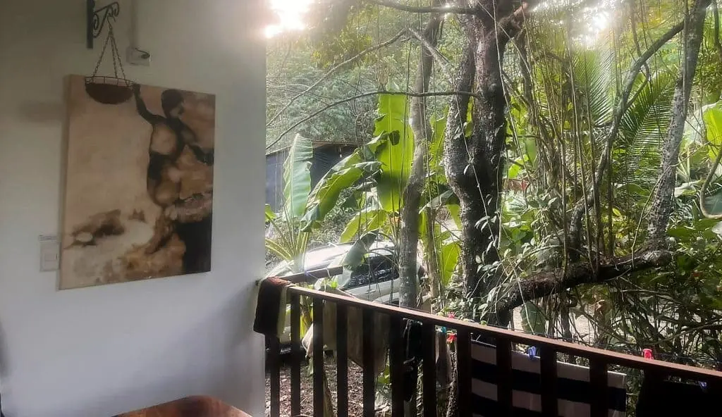 Jungle Lot & Container Homes in Malpais photo 6