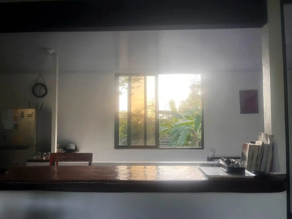 Jungle Lot & Container Homes in Malpais photo 5