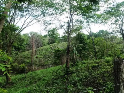 Ceiba Hills Estate in Playa Hermosa, Costa Rica
