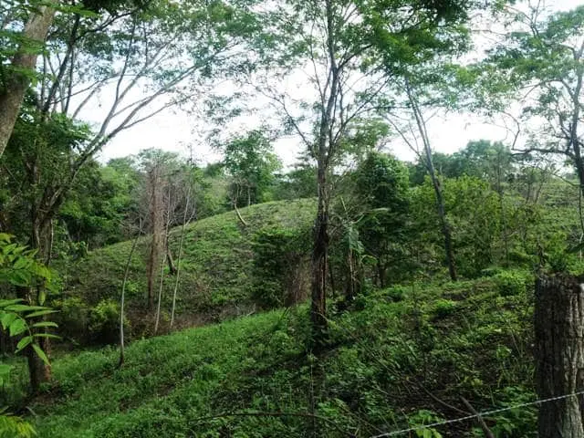 Ceiba Hills Estate photo 1