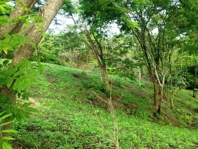 Ceiba Hills Estate photo 3