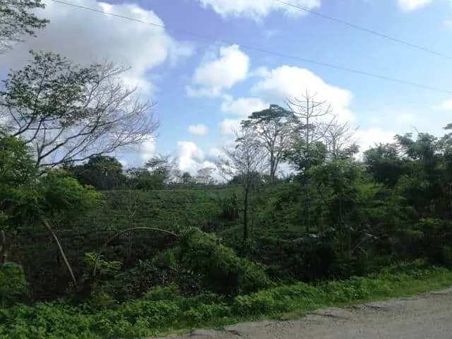 Ceiba Hills Estate photo 4