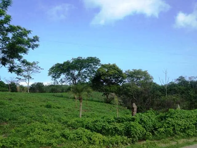 Ceiba Hills Estate photo 6