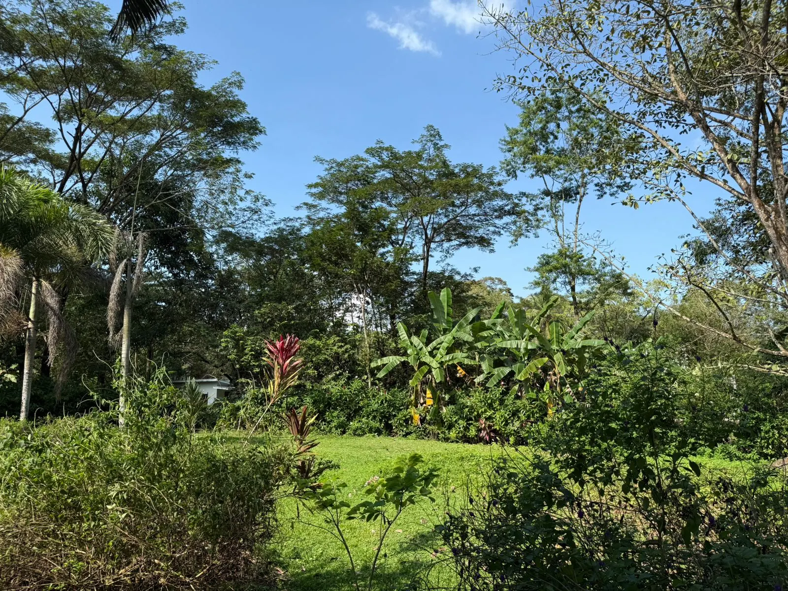 A-Frame Home on 2,466 m2, Three Blocks from the Beach in Cabuya photo 10