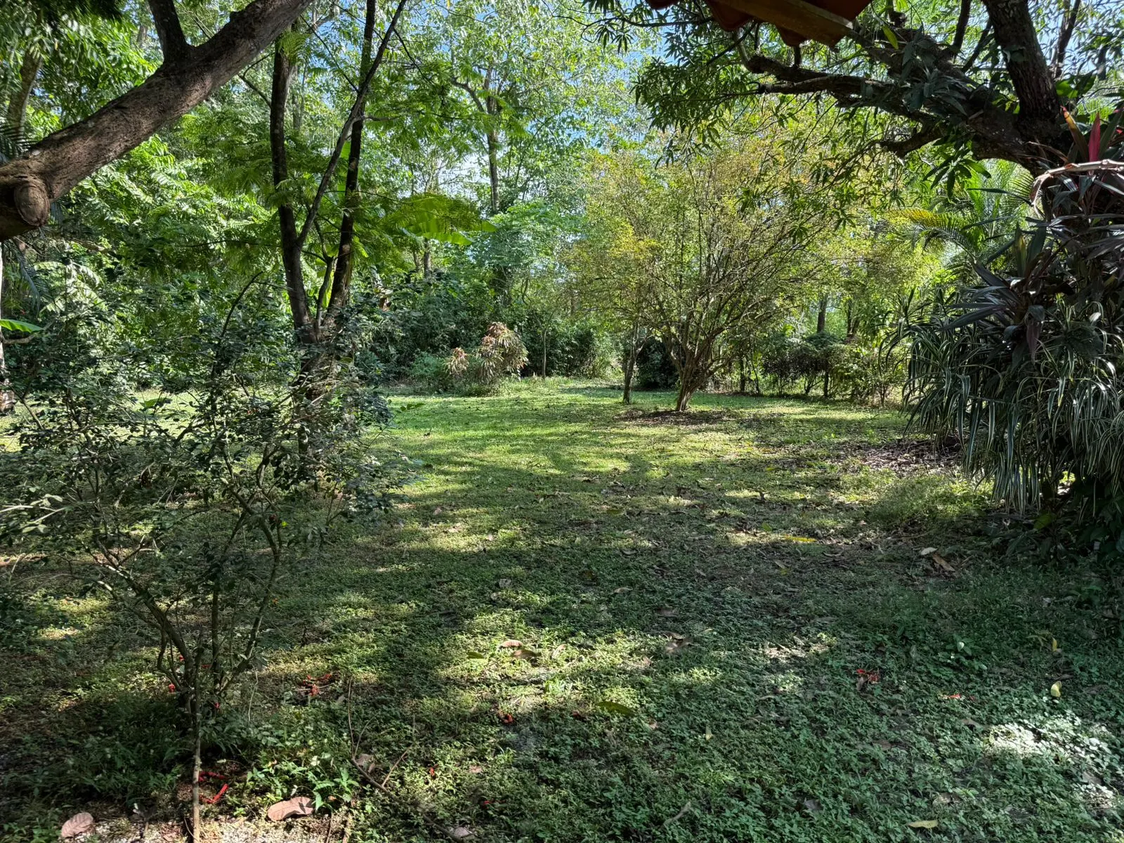 A-Frame Home on 2,466 m2, Three Blocks from the Beach in Cabuya photo 8