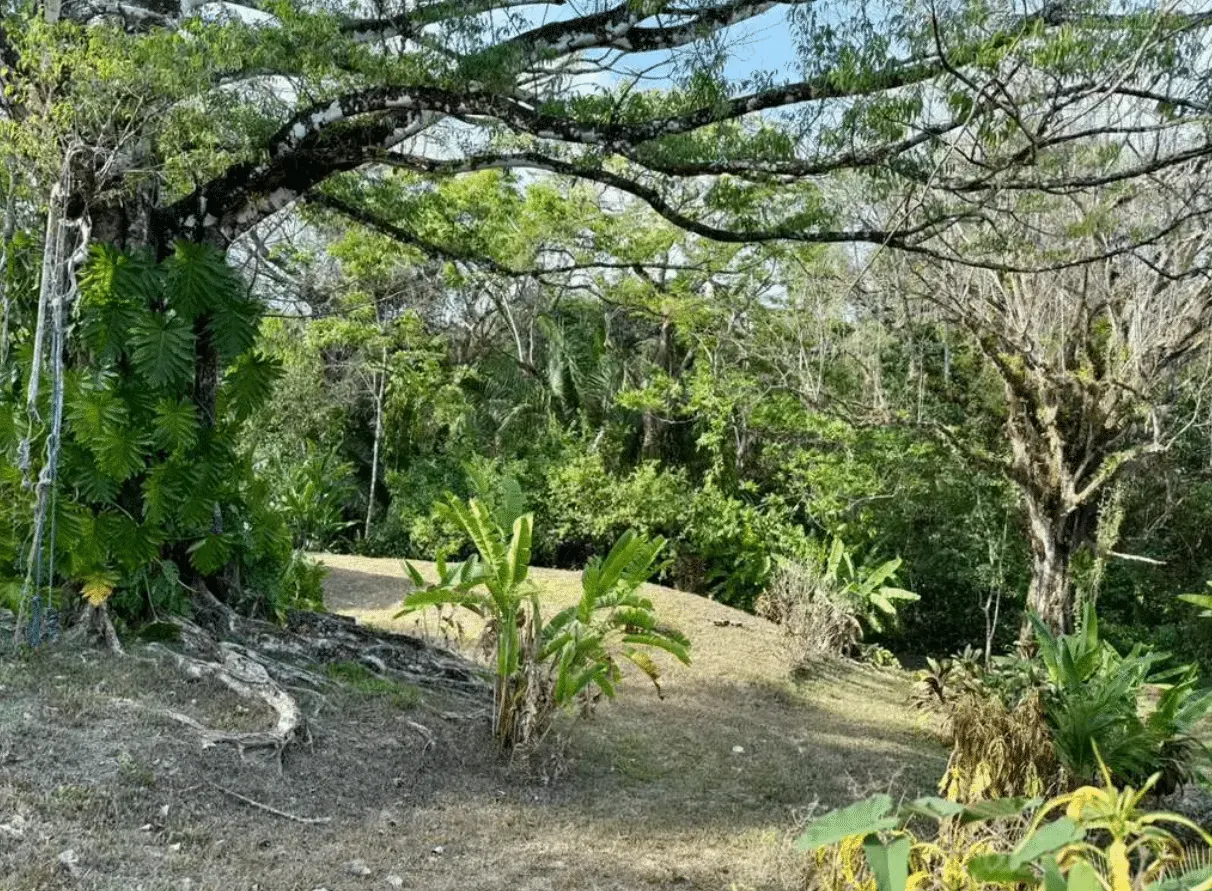 Titled Build-Ready Lot with Shipping Container in Delicias photo 2