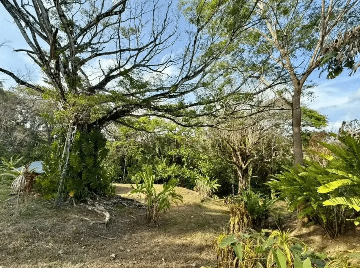 Titled Build-Ready Lot with Shipping Container in Delicias photo 4