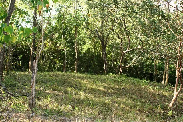 Titled Build-Ready Lot with Shipping Container in Delicias photo 6