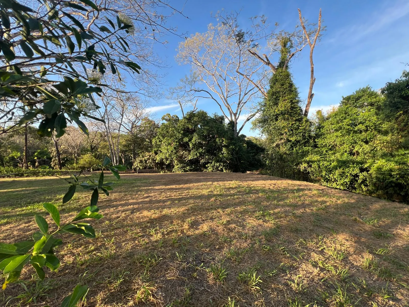 Land and Lots for Sale in Nicoya: The 2026 Buyer's Guide - Tierra Tropical magazine