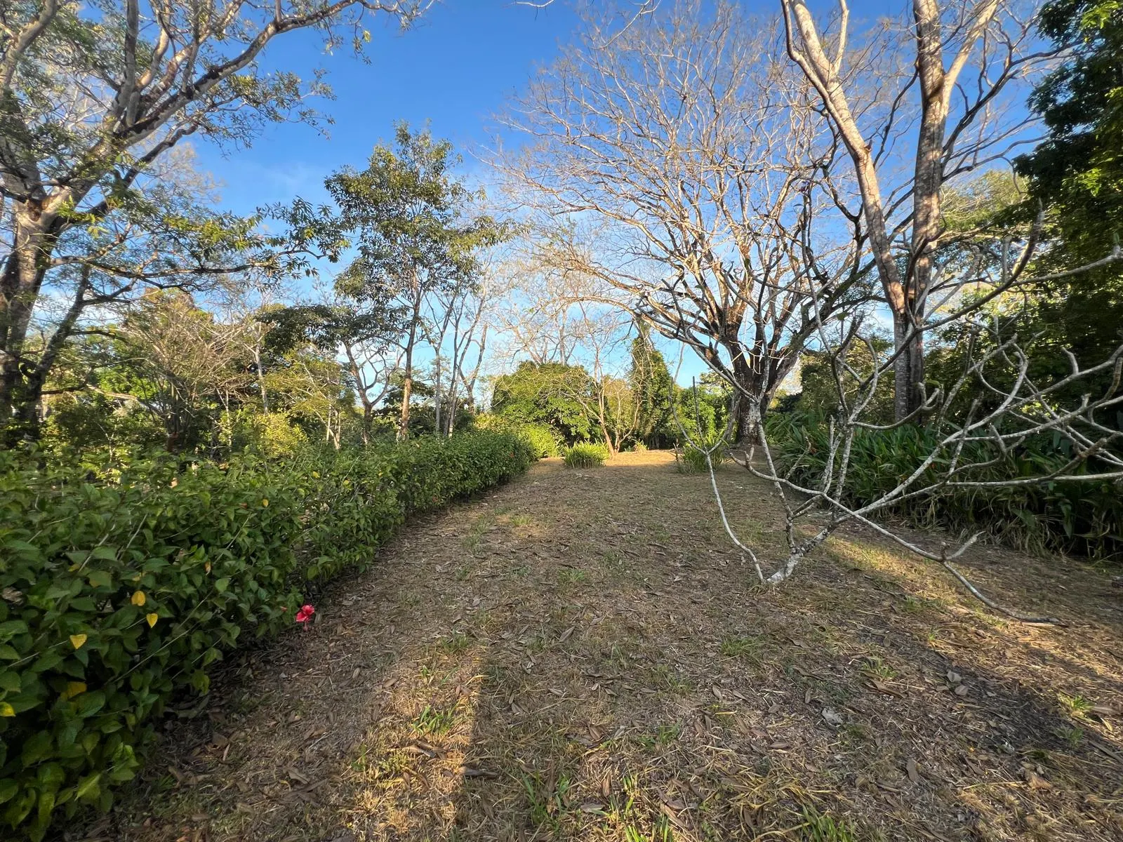 Build-Ready 2.94-Acre Lot with Water Meter in Las Delicias photo 10