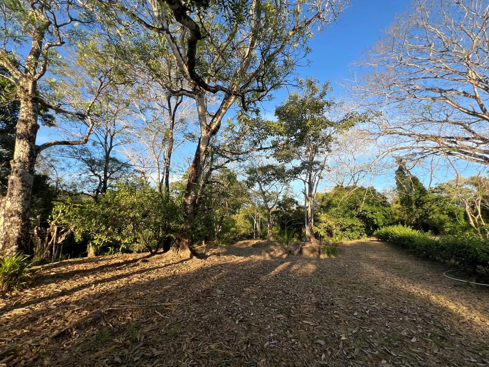 Build-Ready 2.94-Acre Lot with Water Meter in Las Delicias photo 11