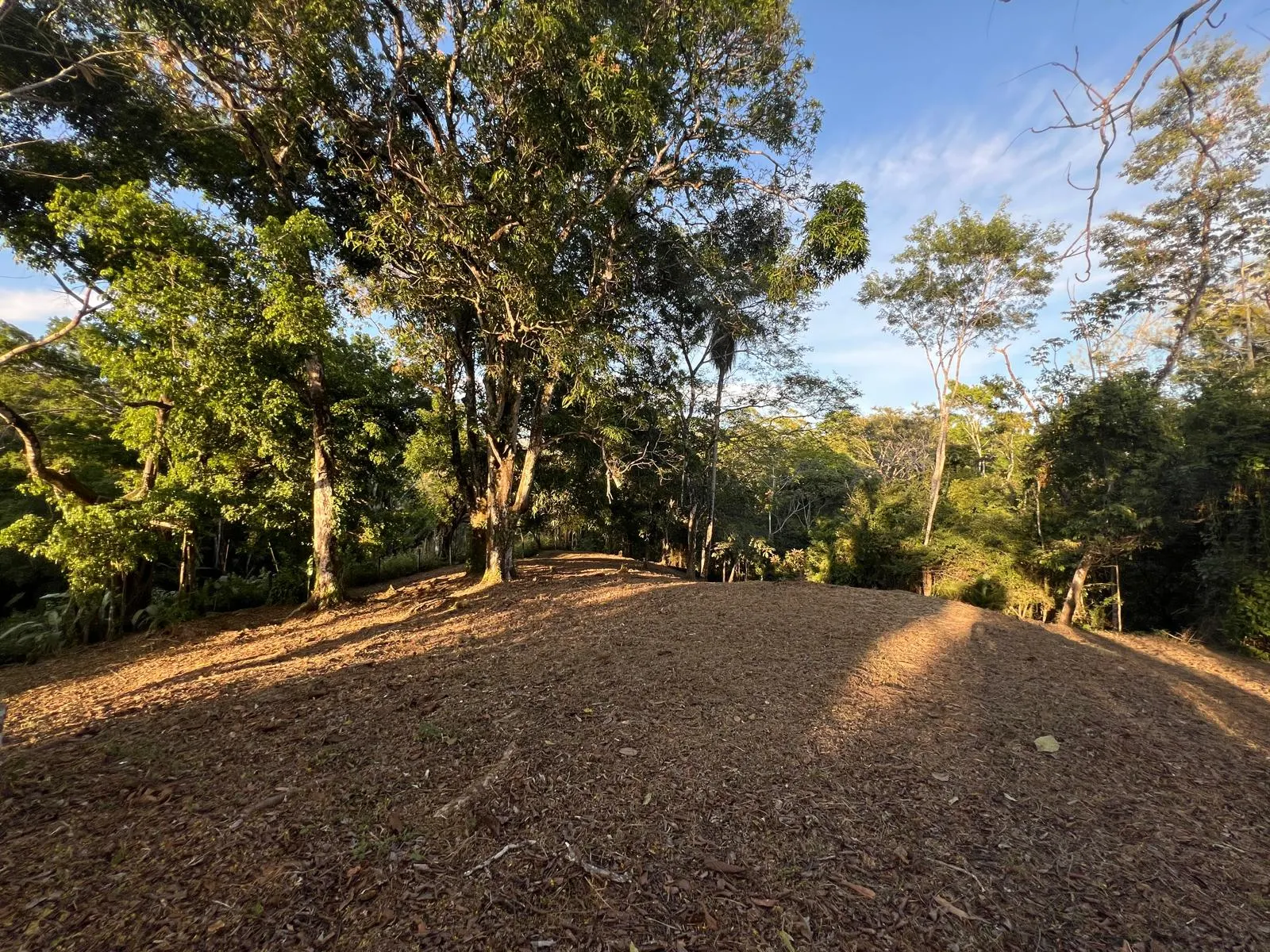Build-Ready 2.94-Acre Lot with Water Meter in Las Delicias photo 12