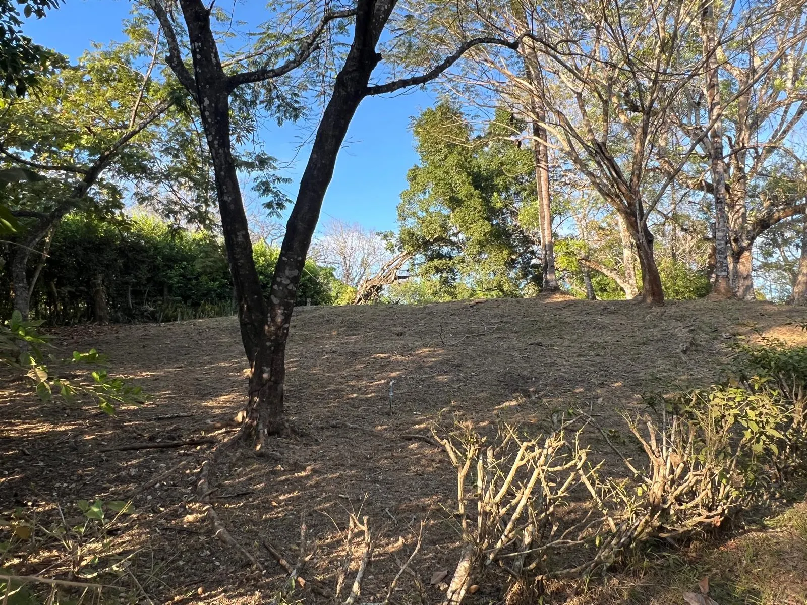 Build-Ready 2.94-Acre Lot with Water Meter in Las Delicias photo 2