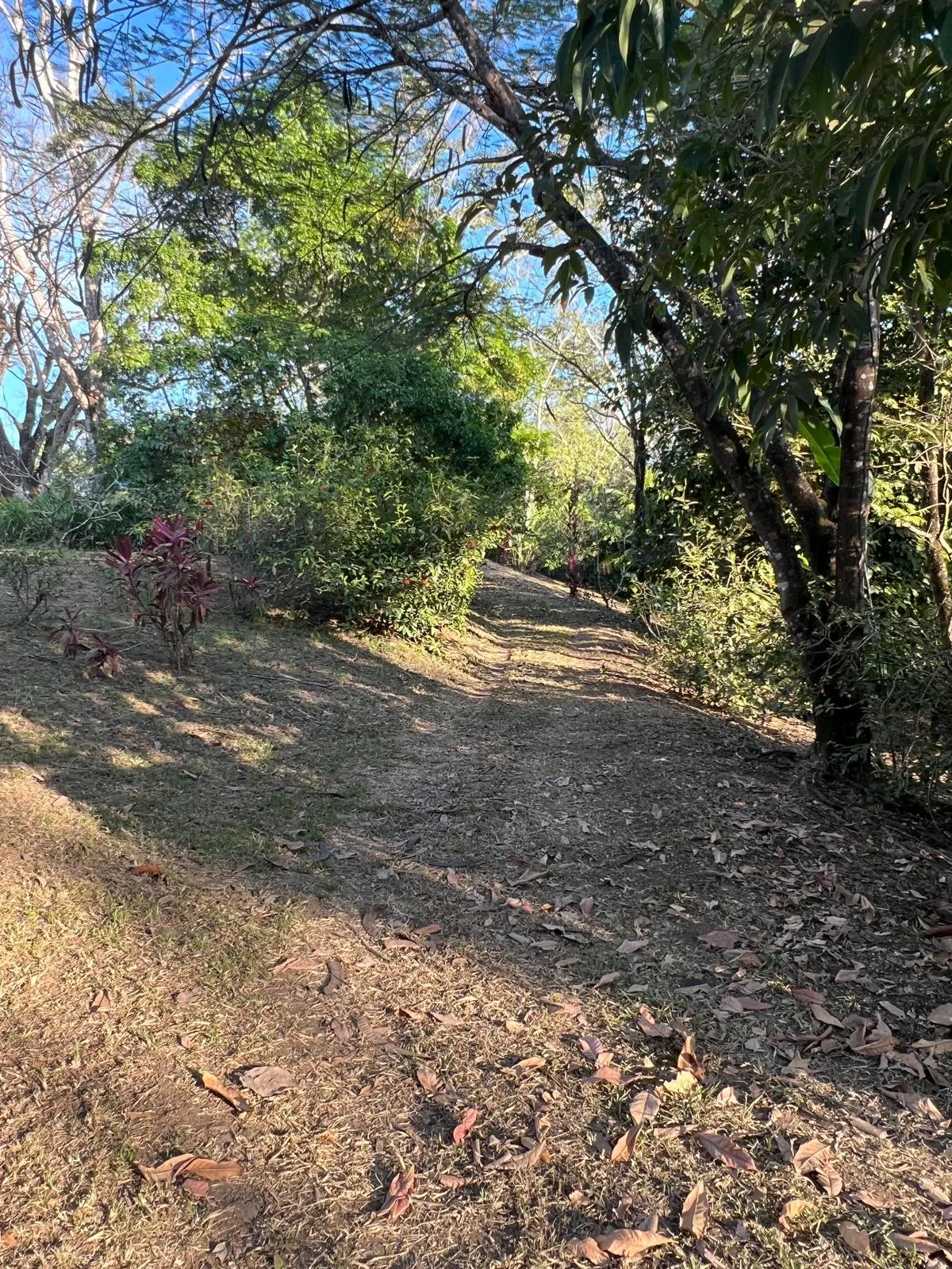 Build-Ready 2.94-Acre Lot with Water Meter in Las Delicias photo 3