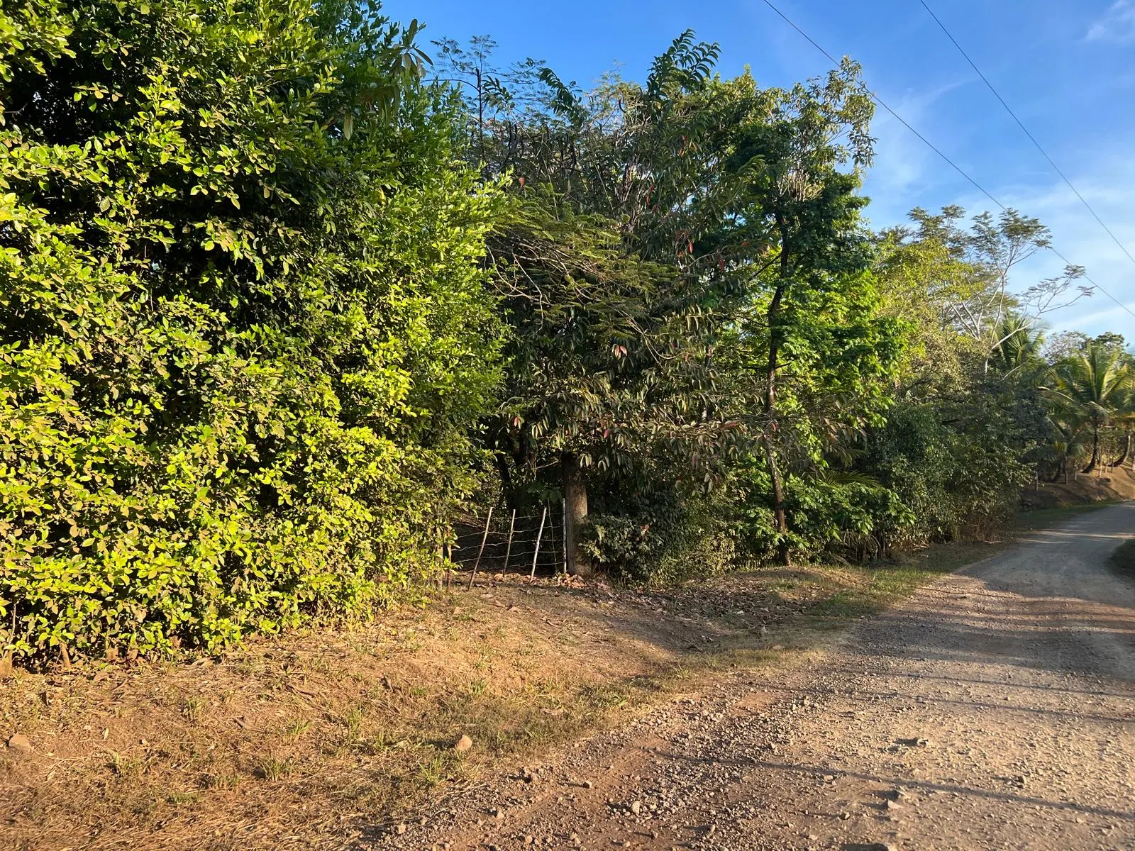 Build-Ready 2.94-Acre Lot with Water Meter in Las Delicias photo 4