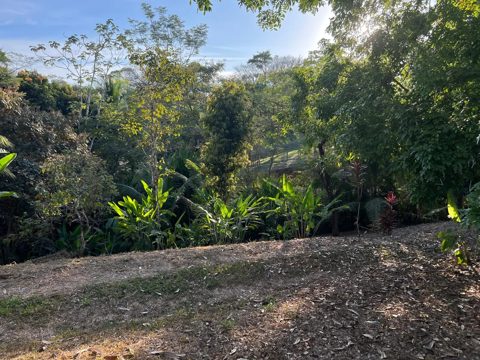 Build-Ready 2.94-Acre Lot with Water Meter in Las Delicias photo 5